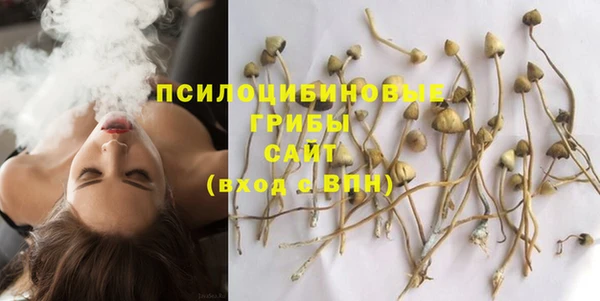 каннабис Баксан