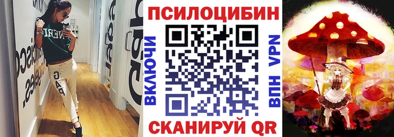 хочу наркоту  Бирюч  Галлюциногенные грибы Cubensis 